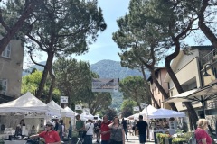 Europejski-Festiwal-Jezior-Iseo-30.05-1.06.2025-fot.-mks131