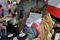Europejski-Festiwal-Jezior-Iseo-30.05-1.06.2025-fot.-mks148