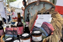 Europejski-Festiwal-Jezior-Iseo-30.05-1.06.2025-fot.-mks156