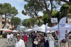 Europejski-Festiwal-Jezior-Iseo-30.05-1.06.2025-fot.-mks171