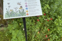 Mazurski-Park-Krajobrazowy-zwiedzanie-seniorzy-Gizycko-13.06.2025-fot.-mks16
