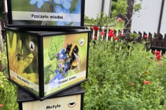 Mazurski-Park-Krajobrazowy-zwiedzanie-seniorzy-Gizycko-13.06.2025-fot.-mks17