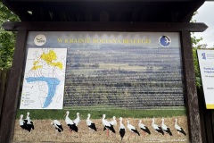 Mazurski-Park-Krajobrazowy-zwiedzanie-seniorzy-Gizycko-13.06.2025-fot.-mks40