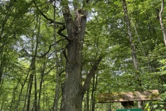 Mazurski-Park-Krajobrazowy-zwiedzanie-seniorzy-Gizycko-13.06.2025-fot.-mks64