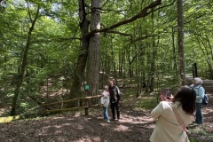 Mazurski-Park-Krajobrazowy-zwiedzanie-seniorzy-Gizycko-13.06.2025-fot.-mks69