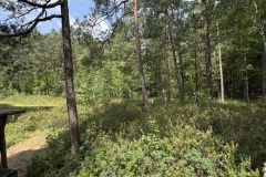 Mazurski-Park-Krajobrazowy-zwiedzanie-seniorzy-Gizycko-13.06.2025-fot.-mks79