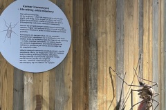 Mazurski-Park-Kumak-seniorzy-Gizycko-13.06.2025-fot.-mks25