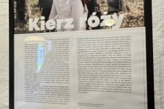 Mazurski-Park-wernisaz-legendy-seniorzy-Gizycko-13.06.2025-fot.-mks34