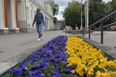 EcoCamp-Festiwal-dla-Ziemi-rejon-wilenski-24-26.05.2025-fot.-FOWJM-mks250