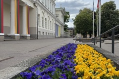 EcoCamp-Festiwal-dla-Ziemi-rejon-wilenski-24-26.05.2025-fot.-FOWJM-mks251