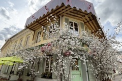 EcoCamp-Festiwal-dla-Ziemi-rejon-wilenski-24-26.05.2025-fot.-FOWJM-mks268