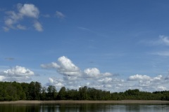 EcoCamp-Festiwal-dla-Ziemi-rejon-wilenski-24-26.05.2025-fot.-FOWJM-mks203