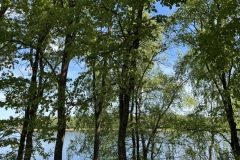 EcoCamp-Festiwal-dla-Ziemi-rejon-wilenski-24-26.05.2025-fot.-FOWJM-mks111