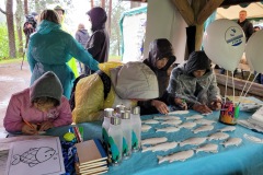 EcoCamp-Festiwal-dla-Ziemi-rejon-wilenski-24-26.05.2025-fot.-FOWJM-mks13