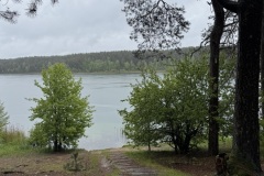 EcoCamp-Festiwal-dla-Ziemi-rejon-wilenski-24-26.05.2025-fot.-FOWJM-mks48