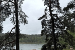 EcoCamp-Festiwal-dla-Ziemi-rejon-wilenski-24-26.05.2025-fot.-FOWJM-mks51