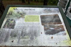 EcoCamp-Festiwal-dla-Ziemi-rejon-wilenski-24-26.05.2025-fot.-FOWJM-mks55