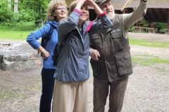Spacery-z-lesnikiem-22Lesne-czwartki22-22.05.2025-ACh4