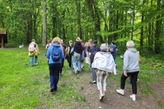 Spacery-z-lesnikiem-22Lesne-czwartki22-22.05.2025-ACh5