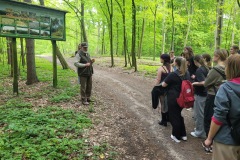 Spacery-z-lesnikiem-22Lesne-czwartki22-22.05.2025-ACh7