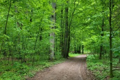 Spacery-z-lesnikiem-22Lesne-czwartki22-22.05.2025-ACh9