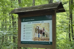 Spacery-z-lesnikiem-22Lesne-czwartki22-22.05.2025-MKS17