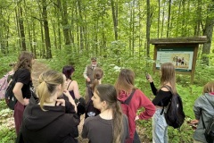 Spacery-z-lesnikiem-22Lesne-czwartki22-22.05.2025-MKS18