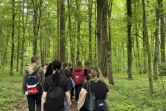 Spacery-z-lesnikiem-22Lesne-czwartki22-22.05.2025-MKS22