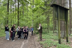 Spacery-z-lesnikiem-22Lesne-czwartki22-22.05.2025-MKS28