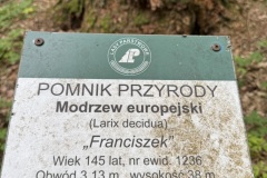 Spacery-z-lesnikiem-22Lesne-czwartki22-22.05.2025-MKS36