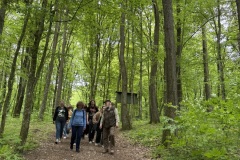 Spacery-z-lesnikiem-22Lesne-czwartki22-22.05.2025-MKS55