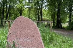 Spacery-z-lesnikiem-22Lesne-czwartki22-22.05.2025-MKS61
