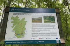 Spacery-z-lesnikiem-22Lesne-czwartki22-22.05.2025-MKS63