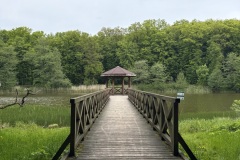 Spacery-z-lesnikiem-22Lesne-czwartki22-22.05.2025-MKS65